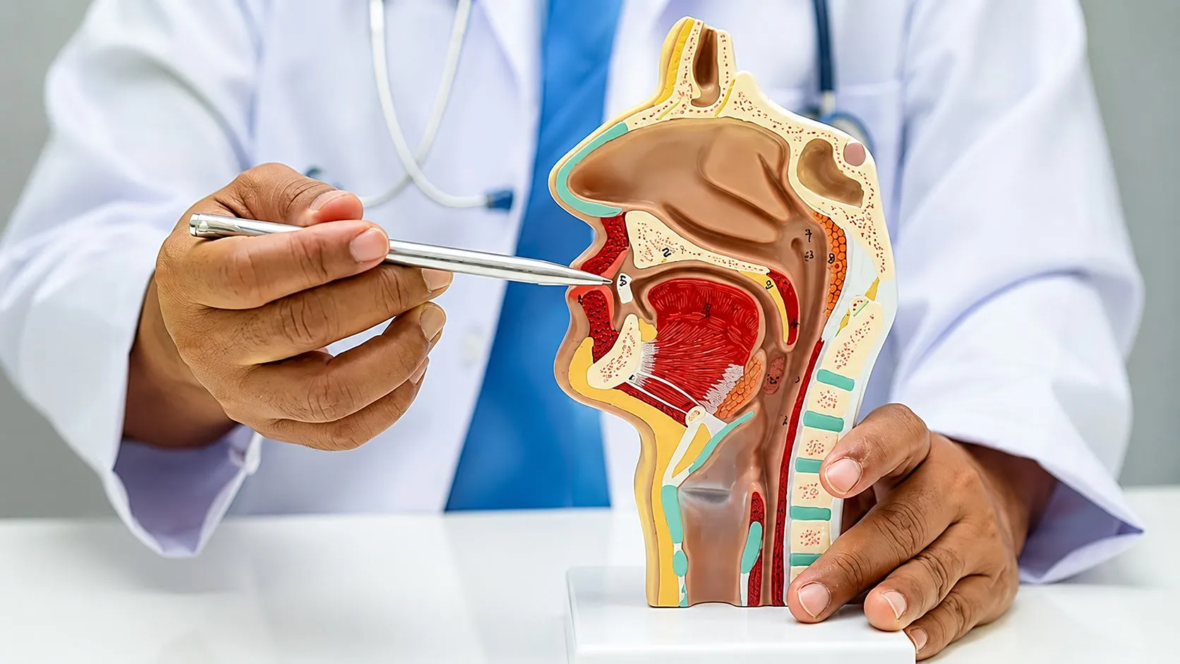 ENT Surgeon in Etawah