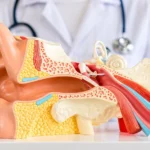 ENT Surgeon in Etawah